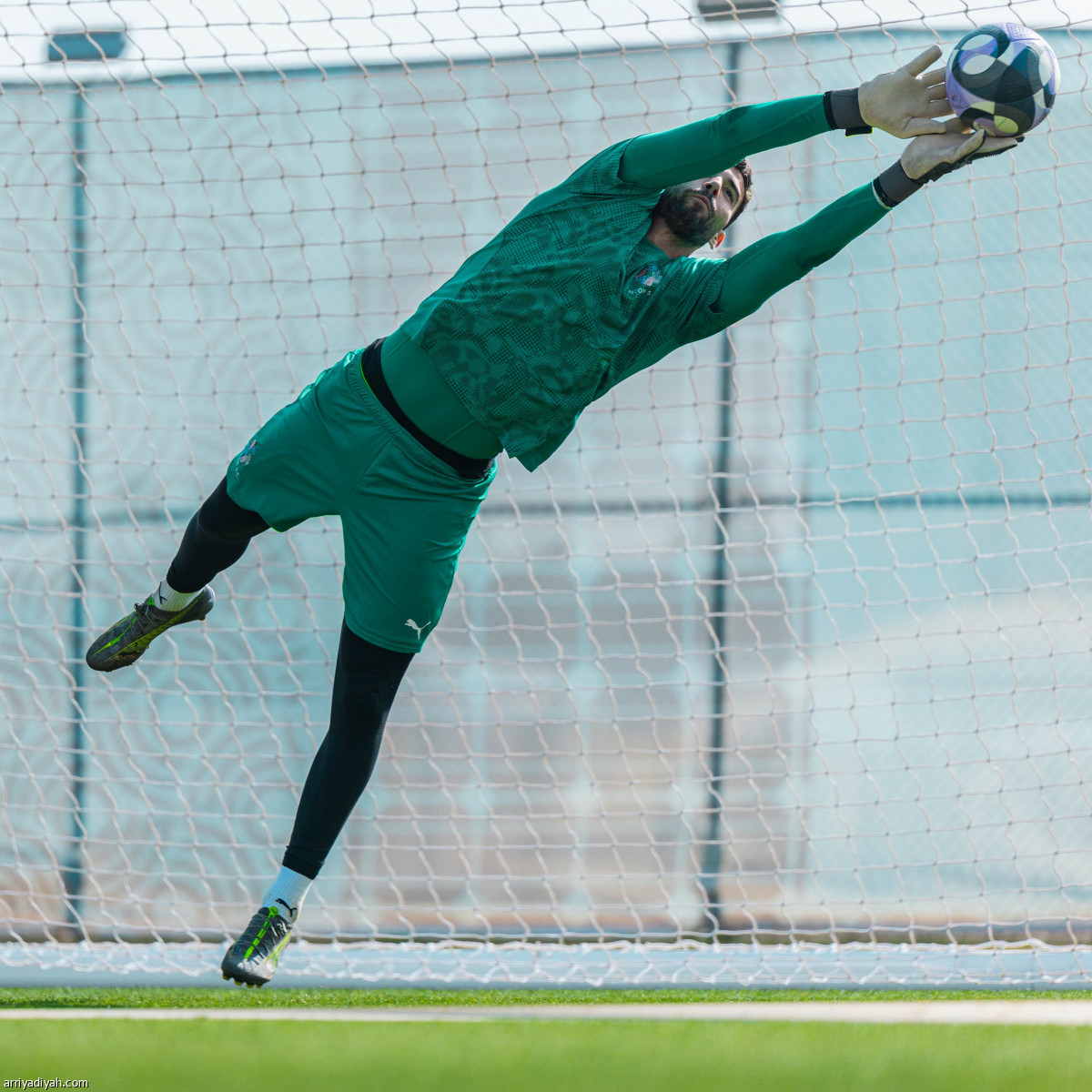 مناورة وتكتيك