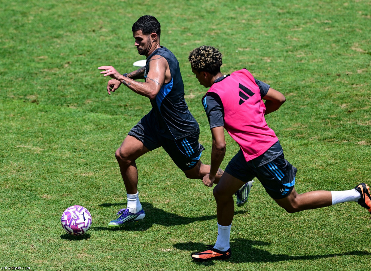 نيوكاسل.. نهاية الجولة