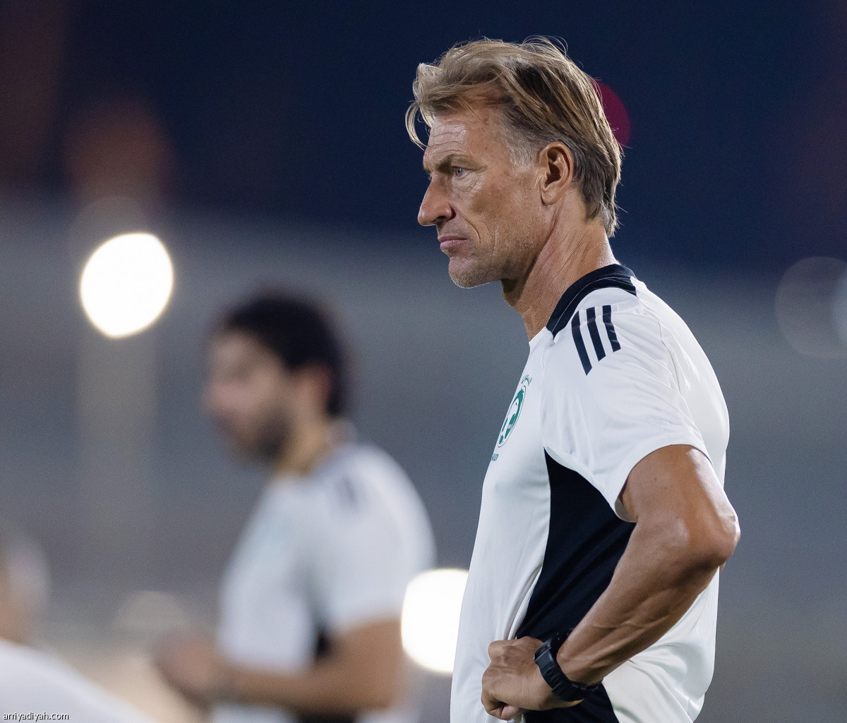 الأخضر ينطلق