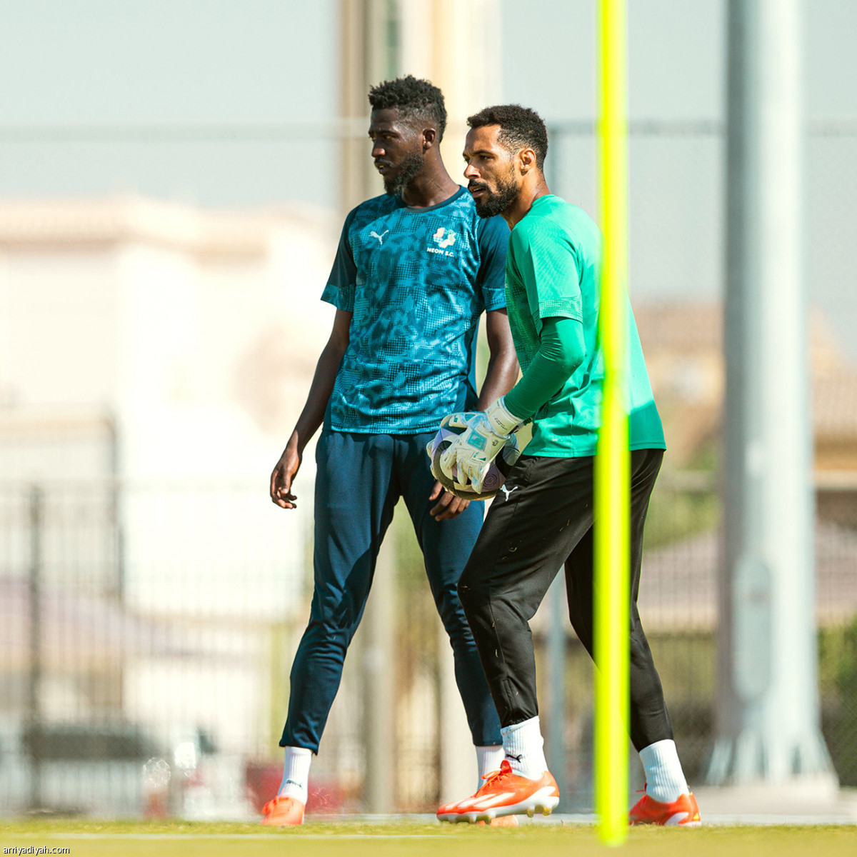 مناورة نيوم