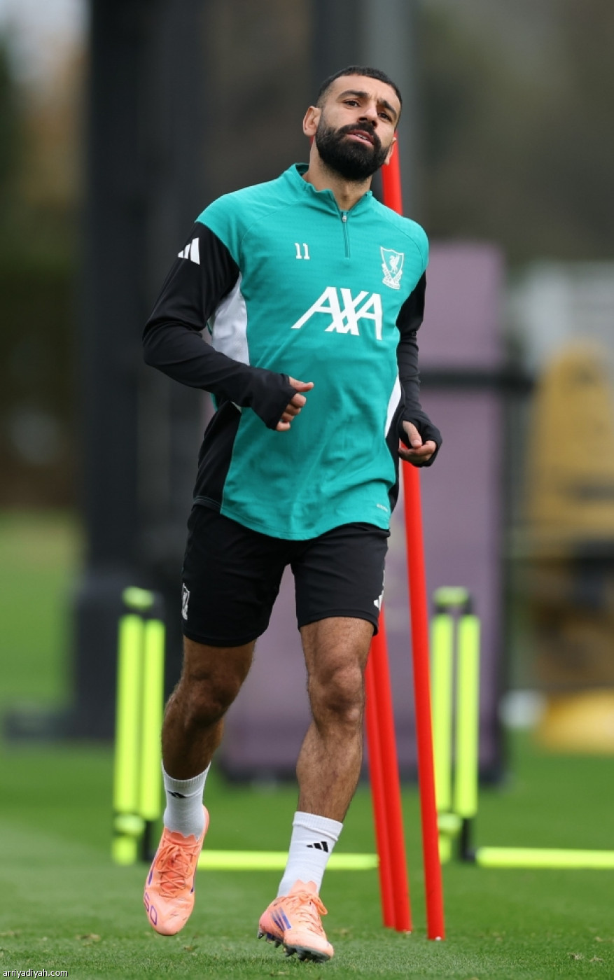 الليفر جاهز