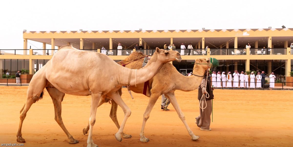 اليوم الرابع