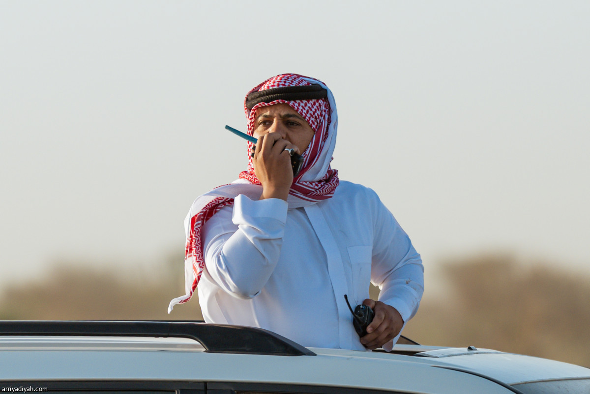 صدارة سعودية