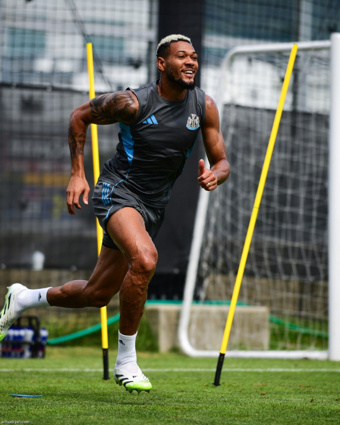 نيوكاسل.. نهاية الجولة