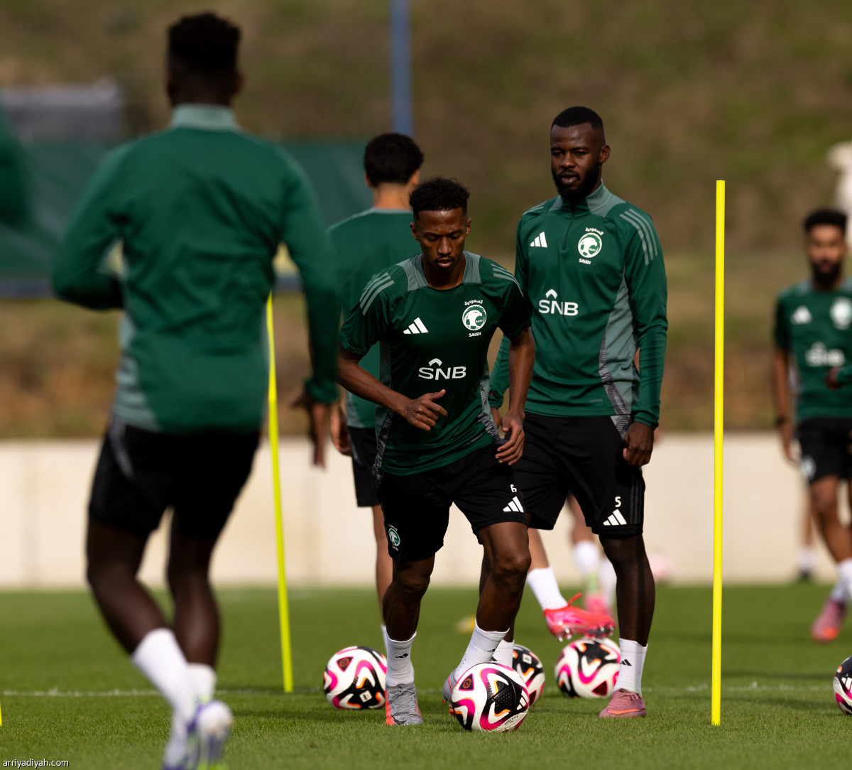 الصقور تتأهب