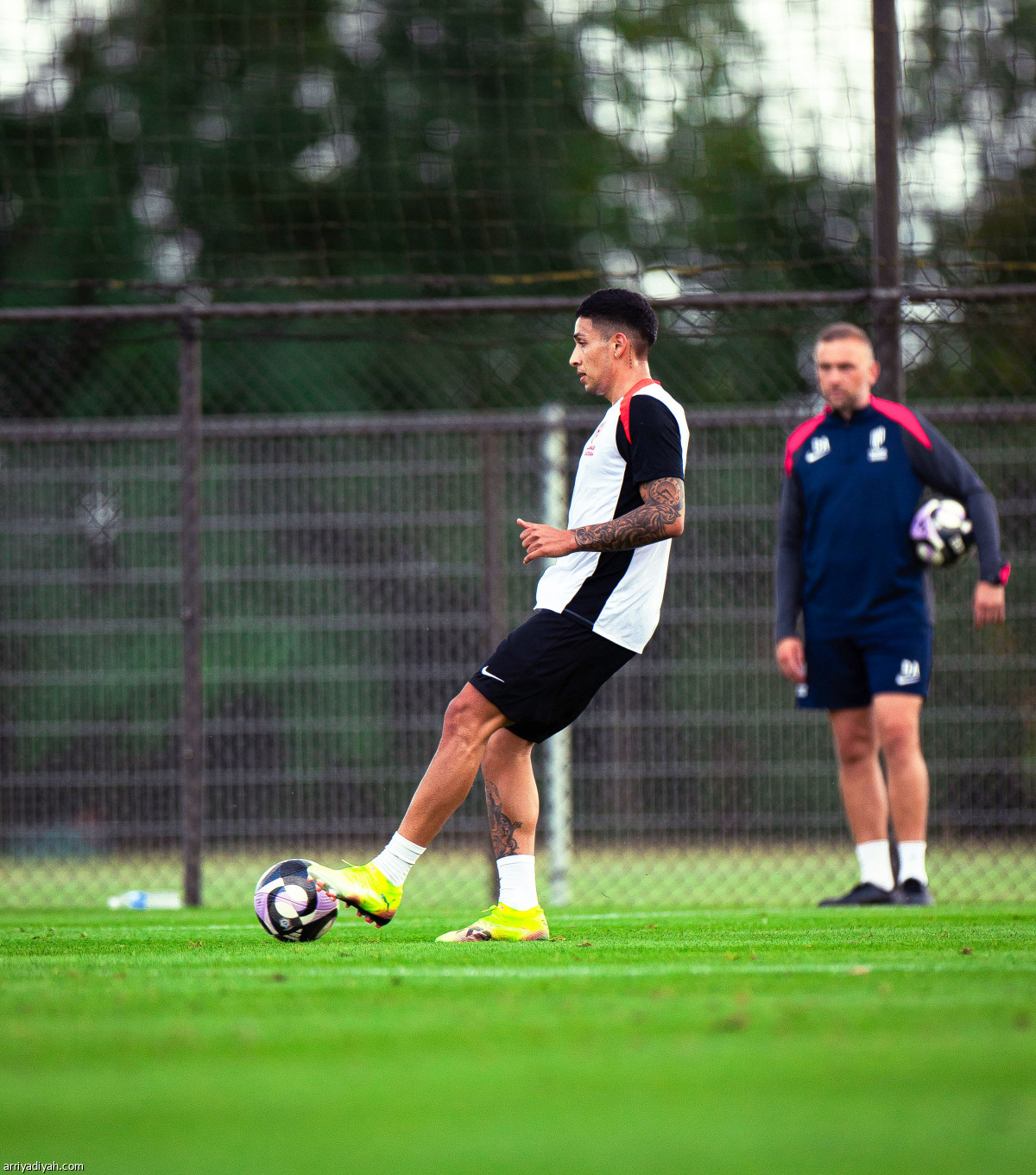 لمسات ميتشيل